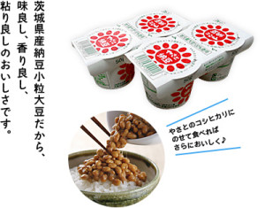 natto_mainimg